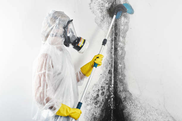 Best Industrial Mold Remediation  in Mcqueeney, TX